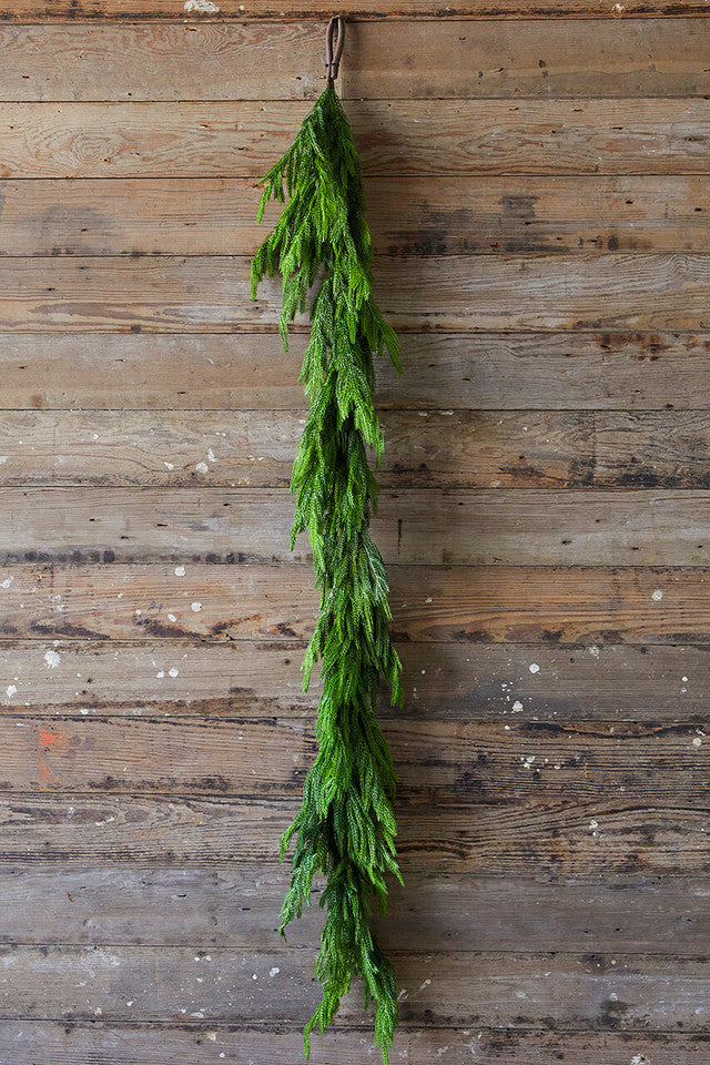 Valcetti Norfolk Pine Krans